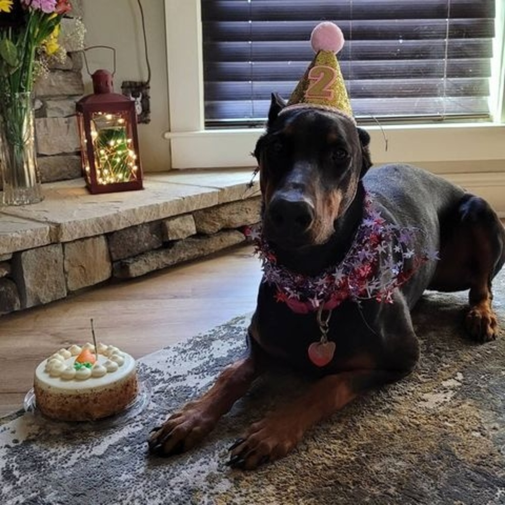 Meet your Posher, Inge